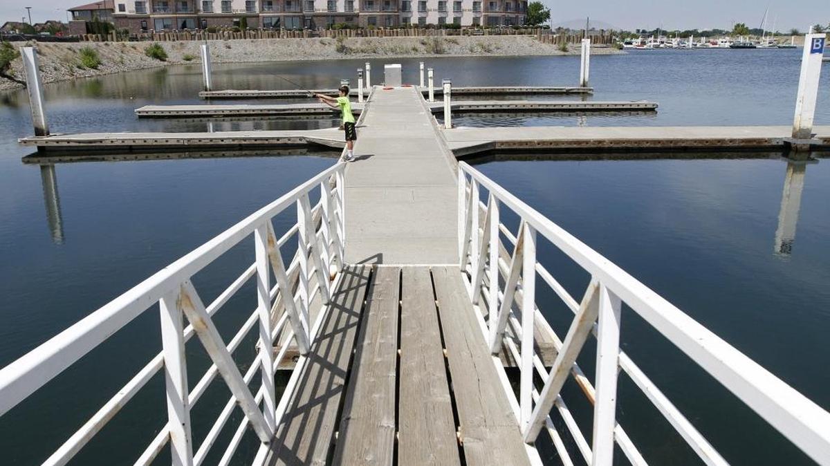 Columbia Point Marina.