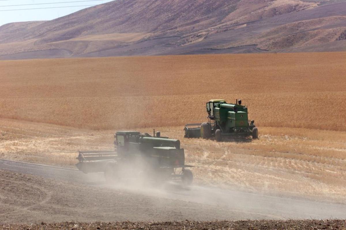 Biosolids from Pasco’s wastewater treatment plant is used to fertilize wheat farms in Benton County.