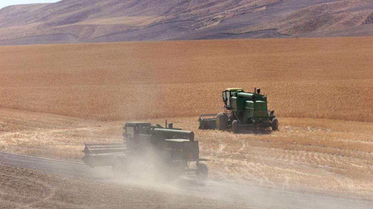 Benton County is working to restore some gravel roads in time for the wheat harvest after farmers complained about dirt, rocks and potholes.