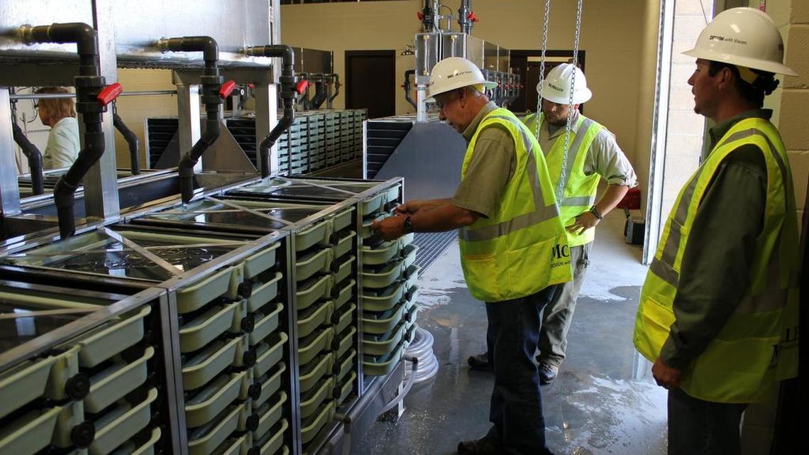 Idaho Fish and Game workers assemble egg trays in 2013 at the then-new Springfield Hatchery near Blackfoot.