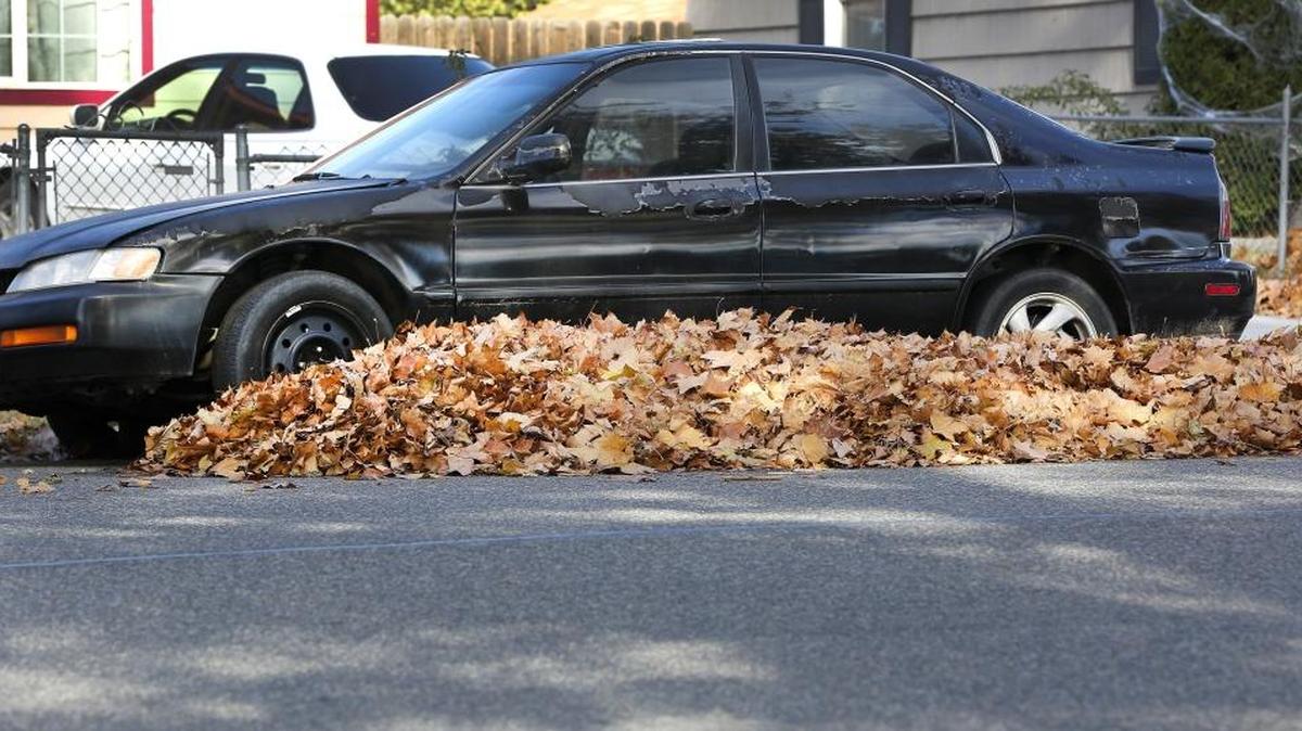 A pile of leaves, possibly blown off nearby trees during the past weekend's windy conditions, have filled in around a car parked Monday in the 1600 block of West Shoshone Street in Pasco. Cooler temperatures and partly cloudy skies are expected this week in the Mid-Columbia.