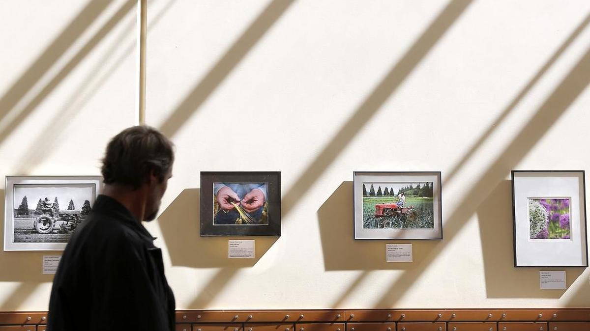 An employee Wednesday at the Three Rivers Convention Center walks past a group of photos in an exhibit called Harvest: The Bounty of Washington. There are more than 60 photos by 44 photographers in 28 counties, including images by local photographers from Benton, Franklin and Walla Walla counties. The free exhibit, by the Washington State Convention Center, runs through June. The convention center is open from 10 a.m. to 4 p.m. Monday through Friday. Visitors can inquire about purchasing their favorites from the collection.