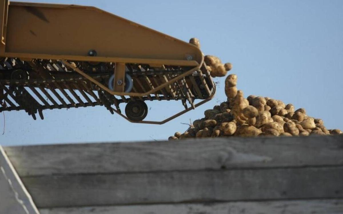 The 2,300 farms of Benton and Franklin counties generated more than $1.6 billion worth of fruit, potatoes, wheat, corn and other agricultural products in 2017.&nbsp;