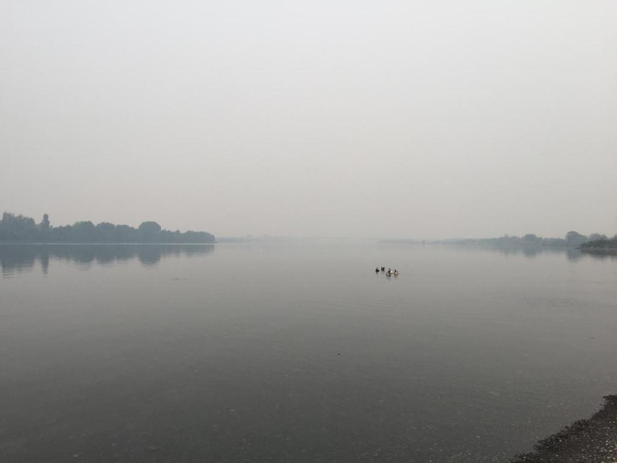 Reader Carly Hetterscheidt sent this photo of geese swimming in the Columbia River at Howard Amon Park in Richland, with the smoky air nearly obscuring the bridge in the distance.