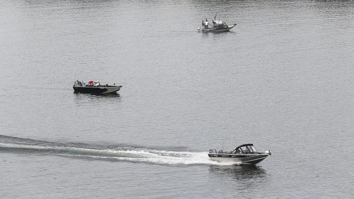 Salmon anglers boat at different speeds for trolling or traveling Friday on the Columbia River near the I-182 bridges between Pasco and Richland. The fall Chinook season is off to a slow start but more fish are headed to the Hanford Reach spawning area. Creel checkers from the Washington Department of Fish and Wildlife reported checking nine salmon by early Friday afternoon at the Columbia Point Park boat launch.