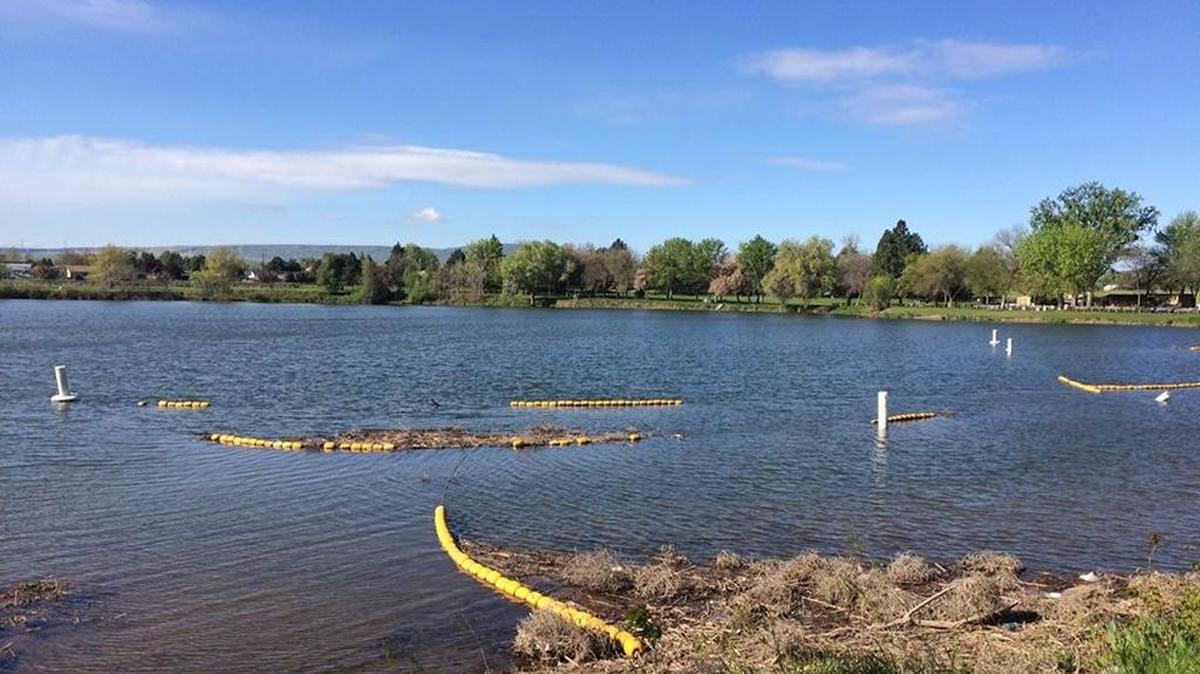 The swimming area markings of Two Rivers Park on the Columbia River will be improved.