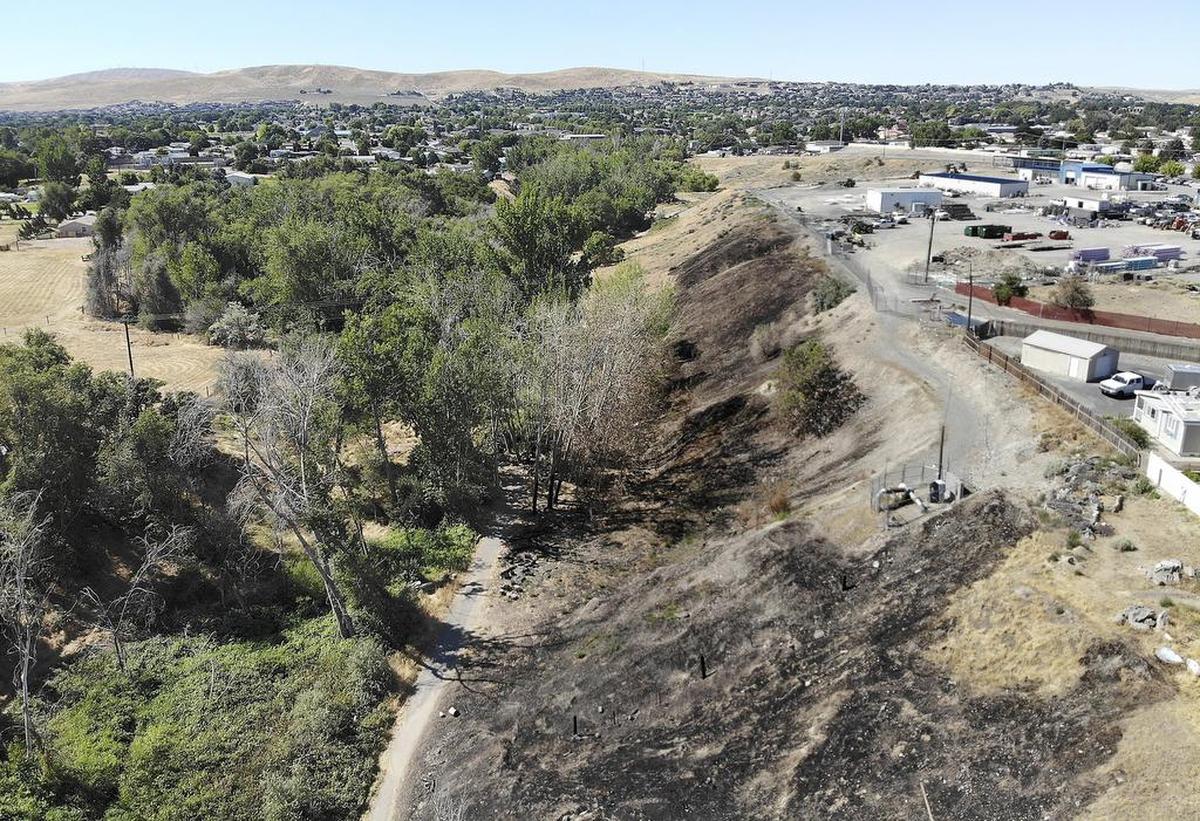 The Spirit of America Trail that stretches about 20 blocks through Zintel Canyon in central Kennewick was scorched by a brush fire earlier this year. Watch a video at tricityherald.com/video