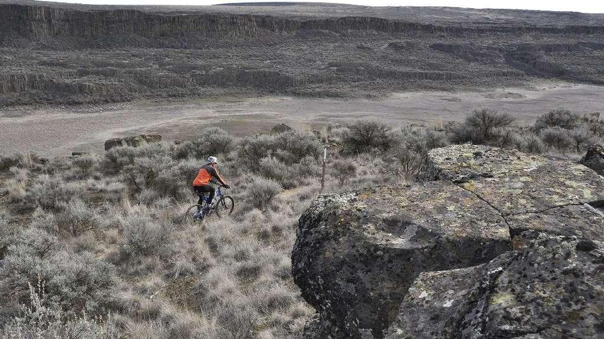 A mountain biker follows the trail markers on a single-track section through a basalt-lined canyon on the Odessa-Pacific Lake Trail near Odessa.