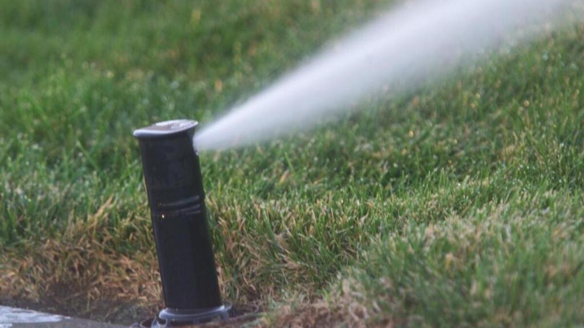 The Kennewick Irrigation District expects a near full annual water allotment for the 2018 water season.