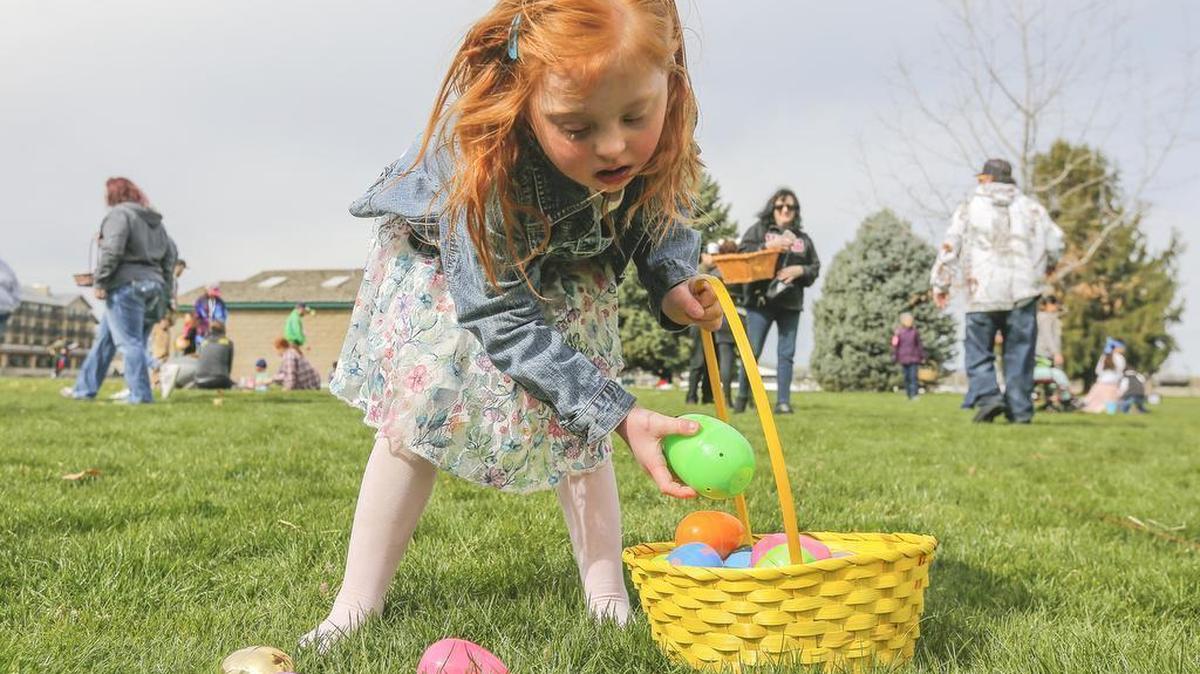 A youngster puts a green egg in her basket during an Easter egg hunt at Columbia Point Park in Richland last April. Richland Easter egg hunt for kids at Howard Amon Park is Saturday