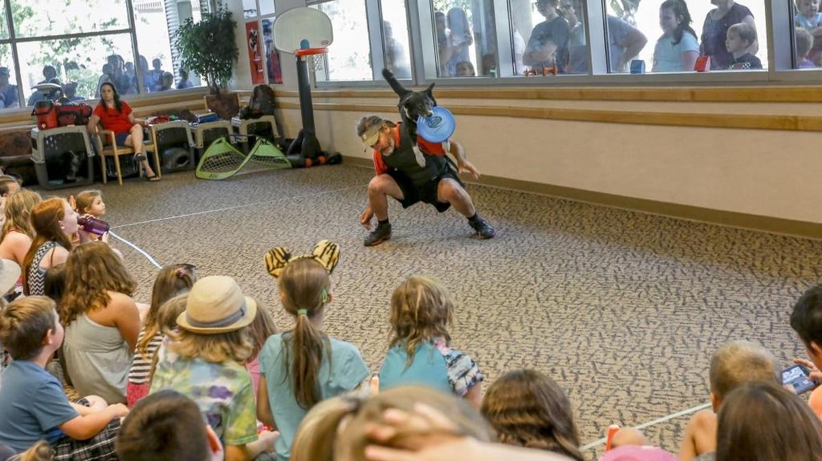 Greg Gustafson throws a frisbee over himself as Teddy, a 12-year-old border collie, jumps over him to retrieve it inside the Kennewick branch of Mid-Columbia Libraries during an event with Border Collie International on Tuesday. Border Collie International is a performing canine team of rescued dogs. More than 600 children and adults attended the event. Events are scheduled Wednesday at the Pasco library (11 a.m.) and the Basin City library (6 p.m.).