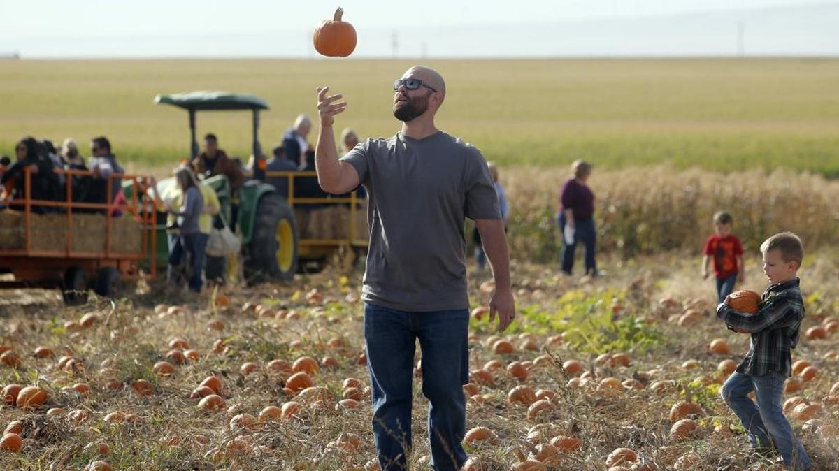 
Lance Wagner of Kennewick, left, tosses a pumpkin on a field trip with his son Steele, 4, right, in October 2014 during a preschool class trip to the Country Mercantile in Pasco.
