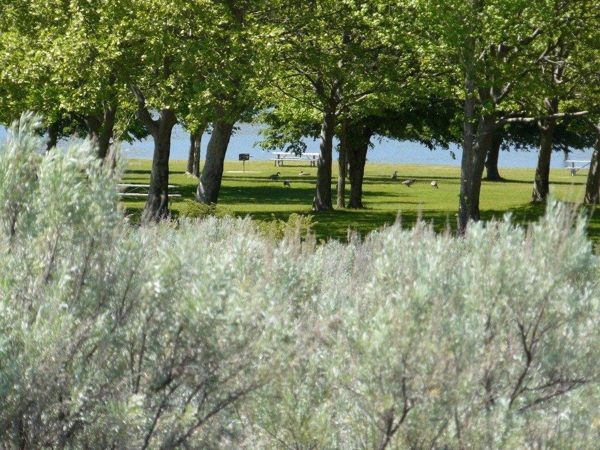 Preliminary work will be done with a $210,000 grant to add a boater’s campground at Crow Butte Marina on the Columbia River island near Paterson.