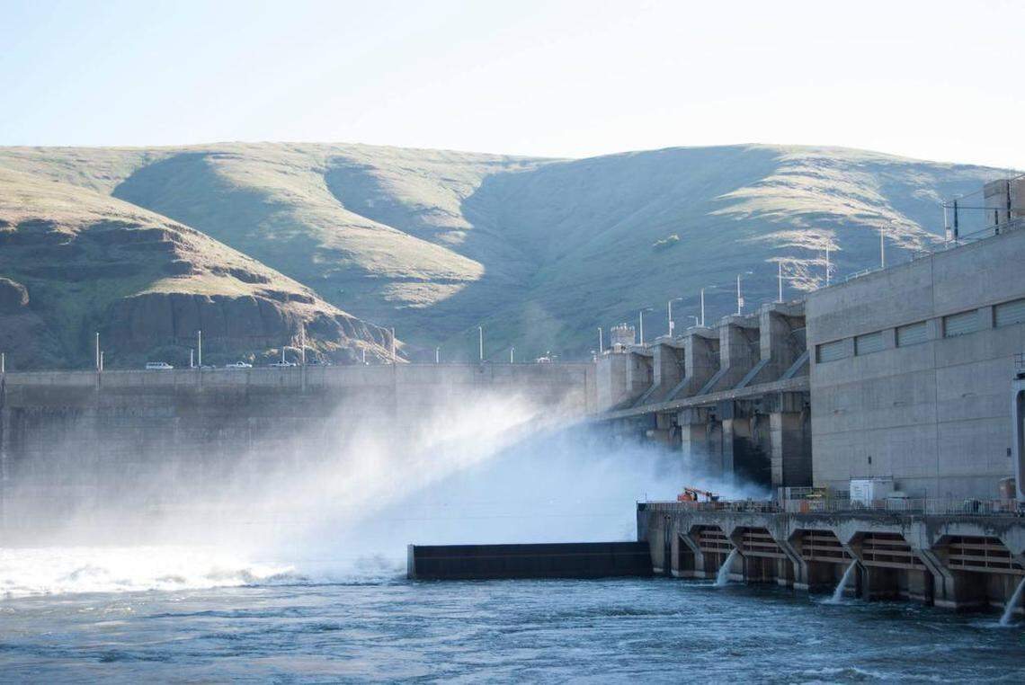 Lower Granite Dam near Pomeroy, Wash., is one of four lower Snake River dams covered by a court-ordered environmental study. The study is looking at removing or breaching the four hydropower dams as one option to improve salmon runs.