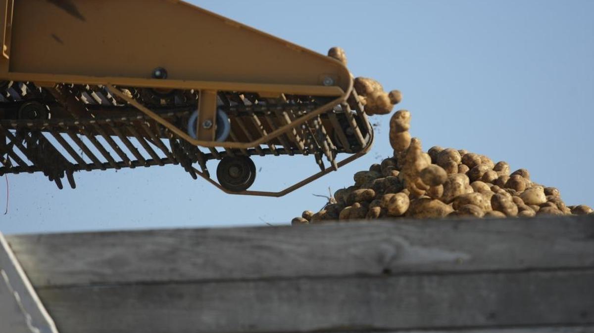 J.R. Simplot is asking a federal judge to appoint a third party to take control of Pasco Processing and Gem State Processing, alleging mismanagement has put the companies on a path to bankruptcy.