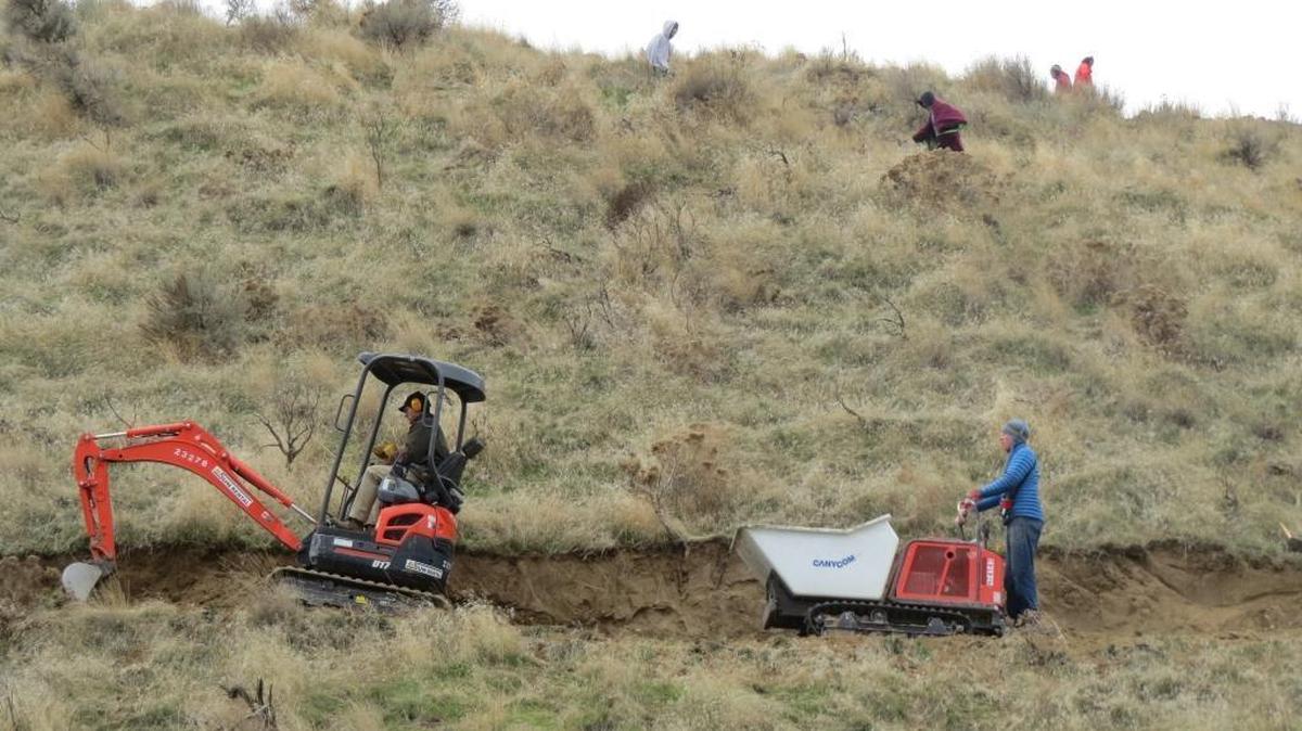 Volunteers dig out a new trail section on Badger Mountain in Richland as hikers above them use the Canyon Trail that starts and ends at a steep set of rock stairs near Trailhead Park.
