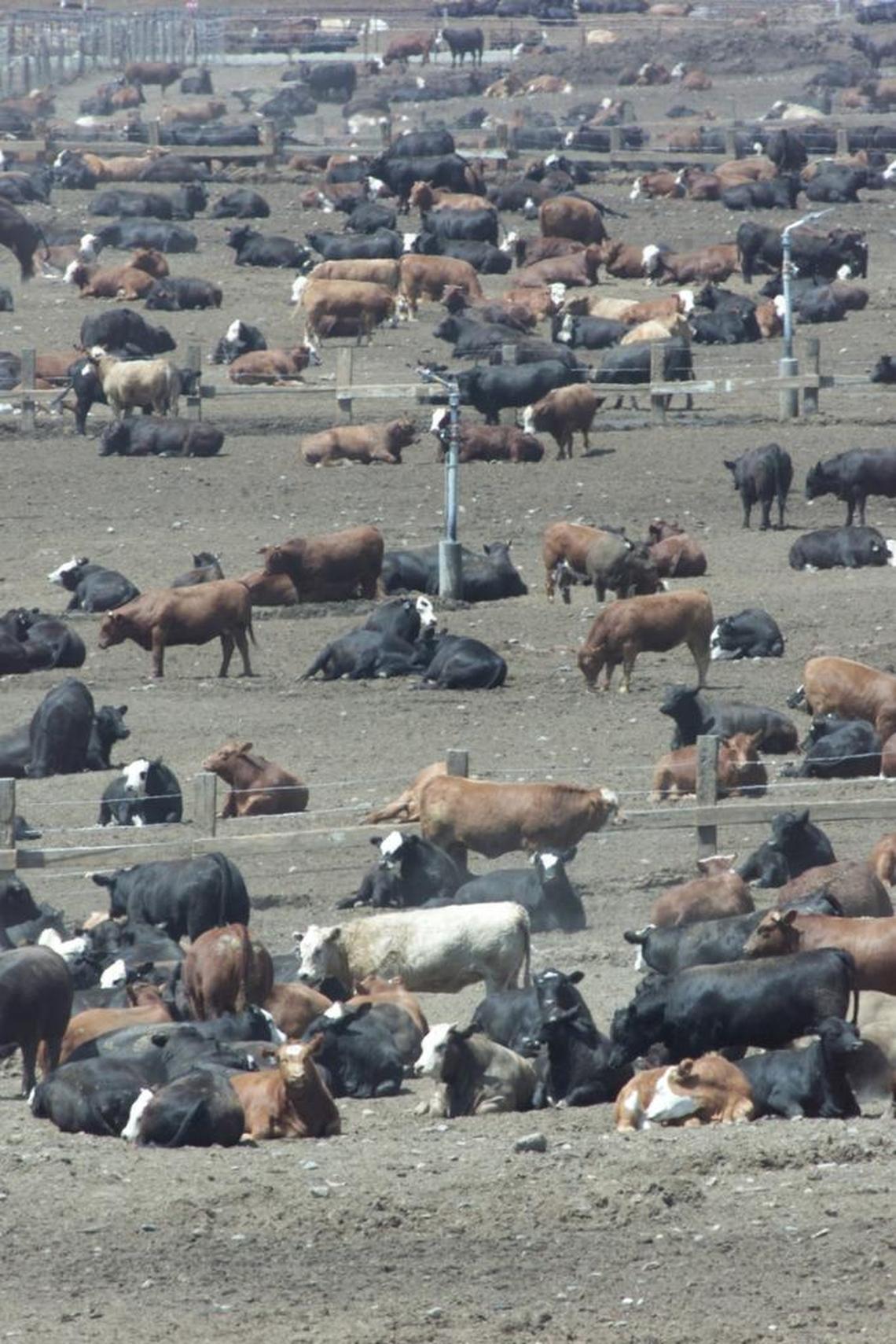 Washington exported $327 million of beef in 2023. China, Japan and Canada were the top customers.