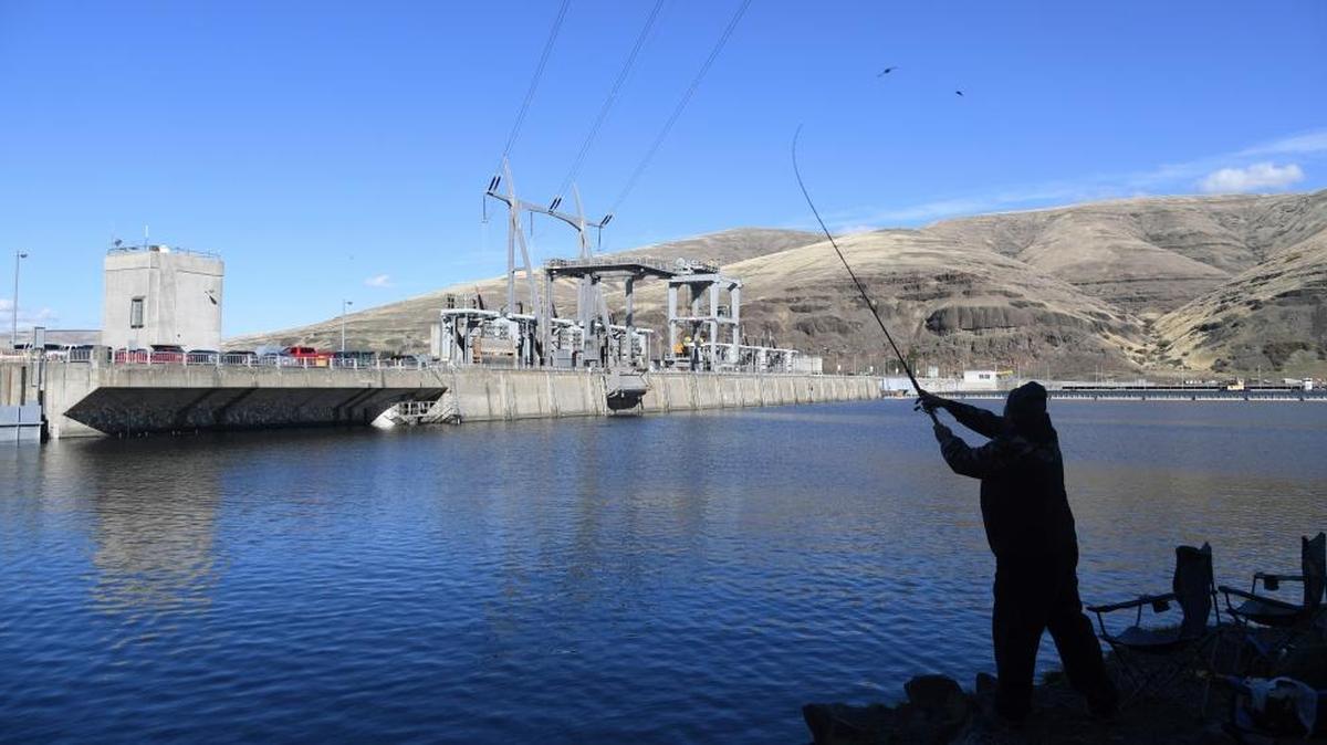 An angler fishes for salmon in the Snake River above the Lower Granite Dam. Spill over the dam and four other Lower Snake River dams increased this month.