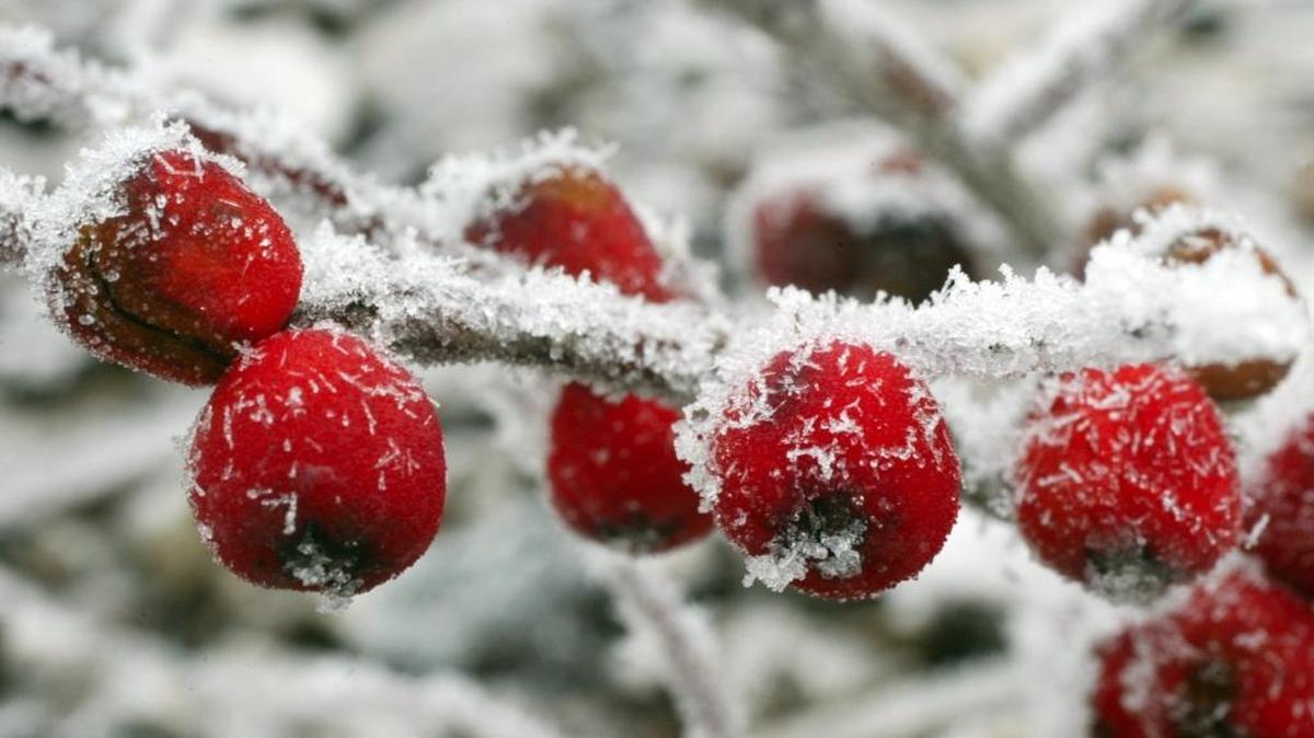 The National Weather Service is predicting patches of freezing fog and a slight chance of snow flurries and freezing drizzle from Friday night through Sunday in the Tri-Cities.
