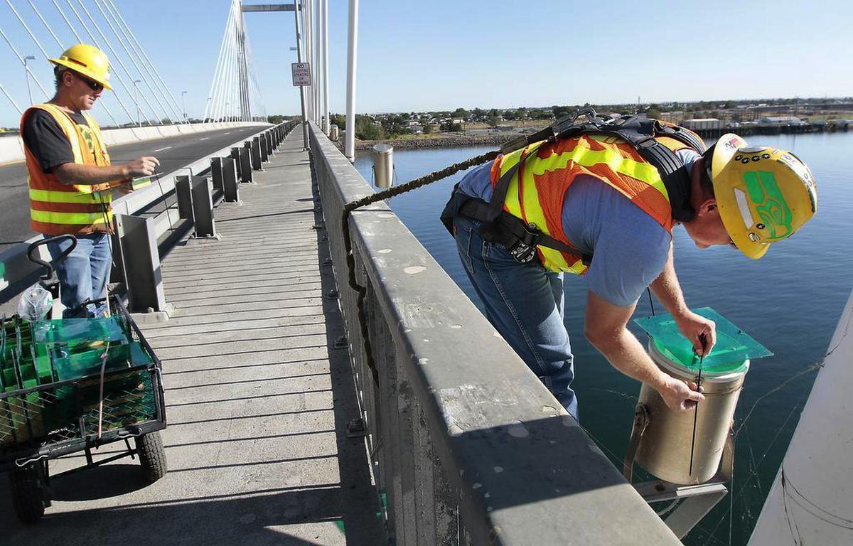 Washington Department of Transportation employees Robert Spencer, left, and Josh Medrano install teal filters over the lights on the cable bridge in 2015 to raise awareness of ovarian cancer.