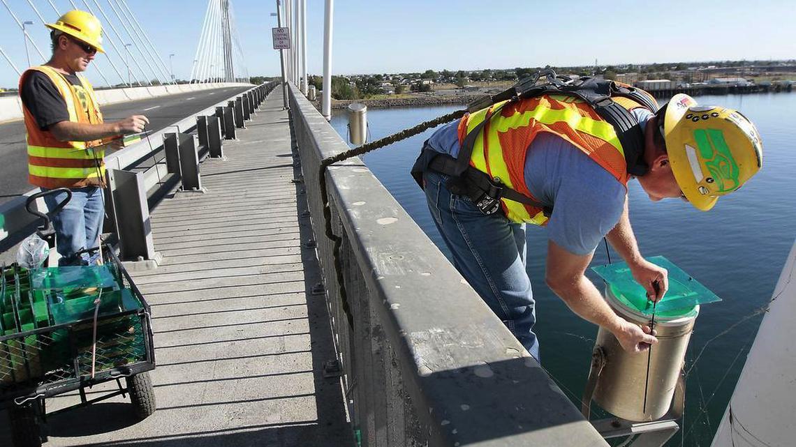 The Tri-Cities cable bridge was a sensation in 1978. LED lights could make it one again