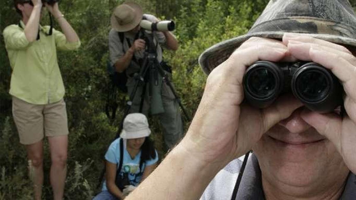 Join the Lower Columbia Basin Audubon Society for bird watching June 4.