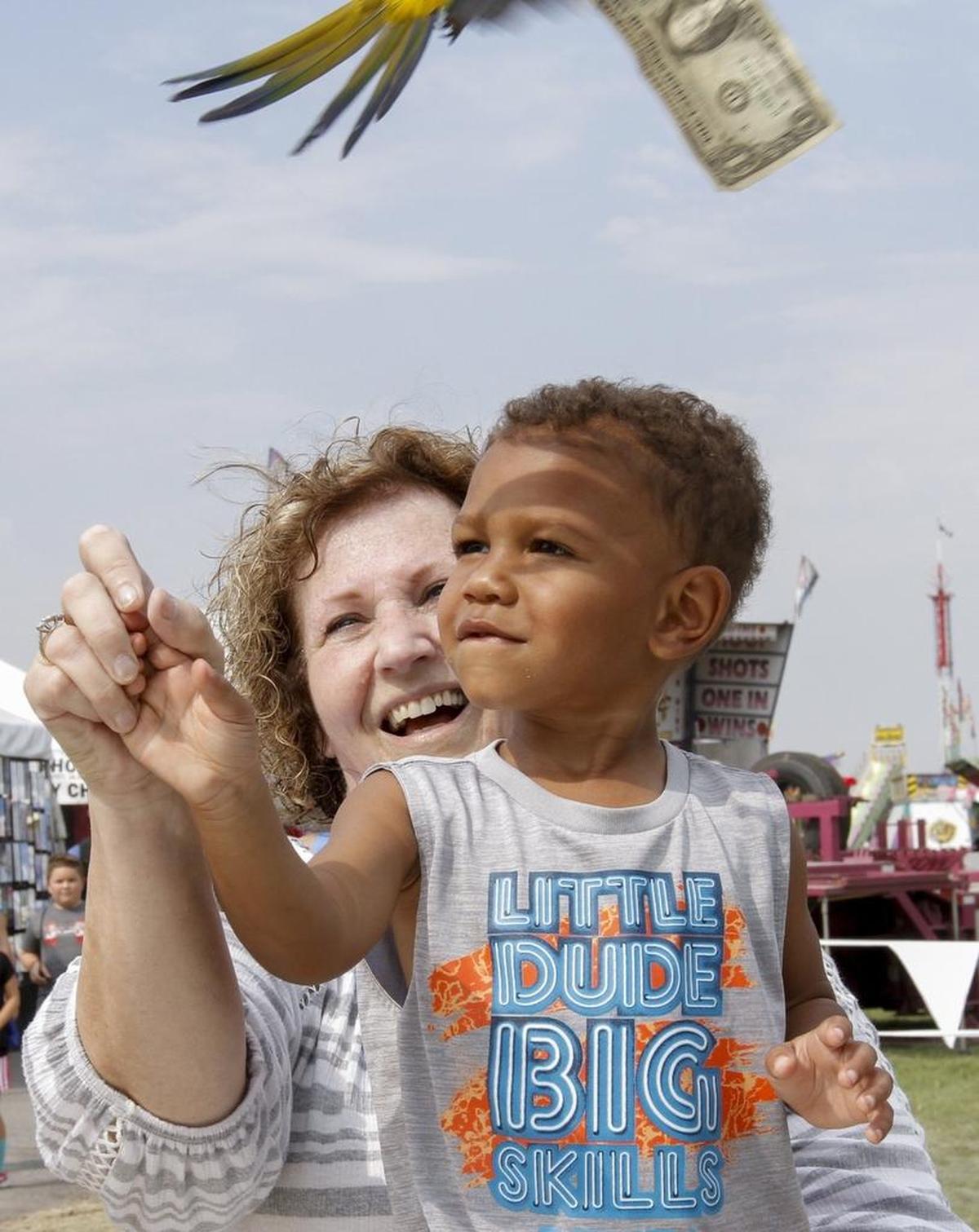 A sun conure parrot swoops over to pluck a dollar from members of the audience at the Pirate Parrot show at the Benton Franklin Fair & Rodeo on Wednesday.