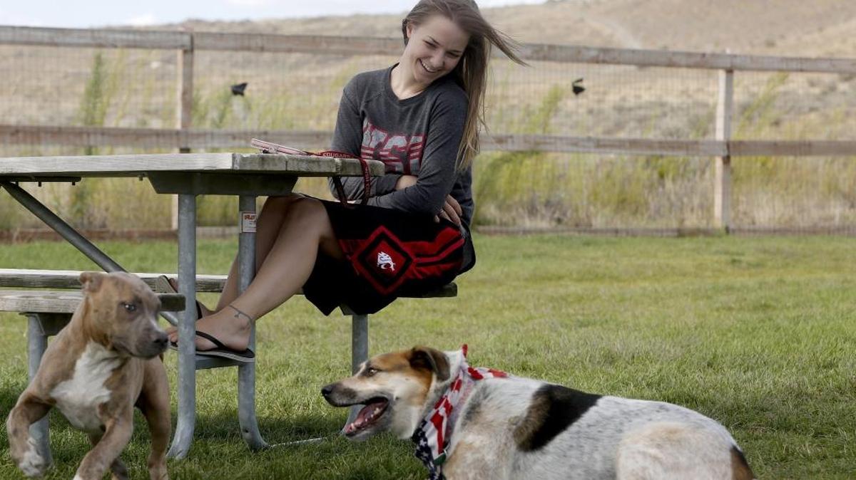 
Taylor Clement of Seattle looks on as her 4-month-old dog Odin, left, plays with Robby, 4, Wednesday at the Paws-abilities Place dog park in Richland. The city is looking to expand the existing park at Badger Mountain Community park and could add a second off-leash dog park.
