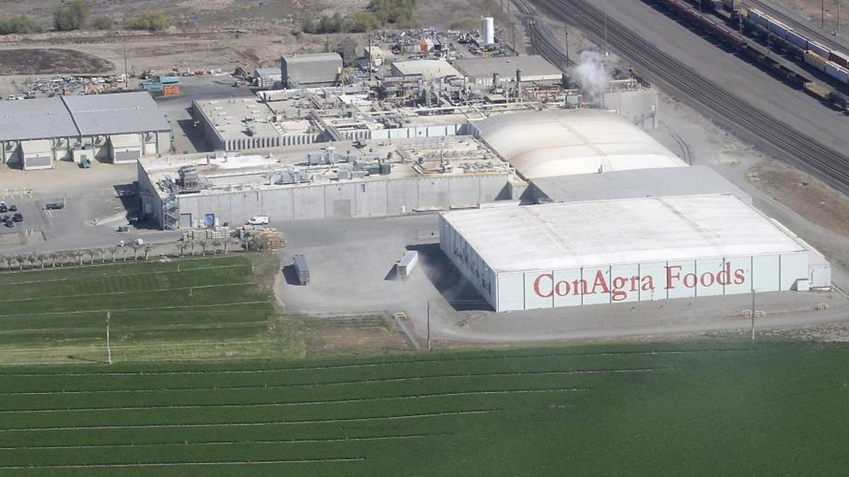 Lamb Weston will instantly become one of the region’s largest companies when it spins off from ConAgra Foods this fall. The $3 billion frozen potato giant employs 4,000 people in the Columbia Basin. Pictured is its potato processing plant on Glade Road, north of Pasco.