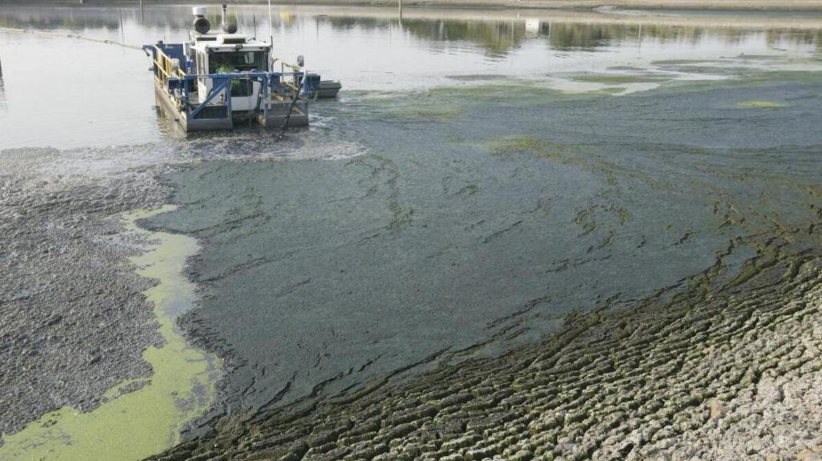 A problem at a downtown Kennewick settling lagoon forced the city to declare an emergency to keep sewage and waste water from flowing into the Columbia River. This 2012 photo shows a company removing biosolids from a city lagoon to use as fertilizer on a farm.
