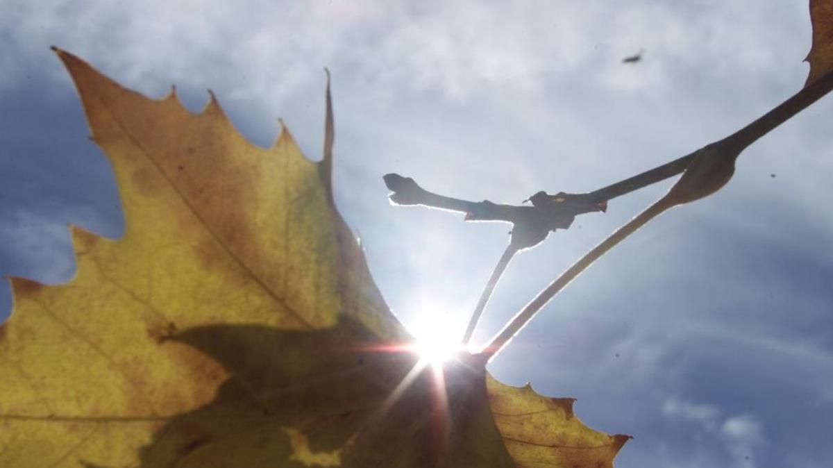 Enjoy any sunshine on Sunday because several cloudy days may follow until Thanksgiving, according to the National Weather Service forecast.