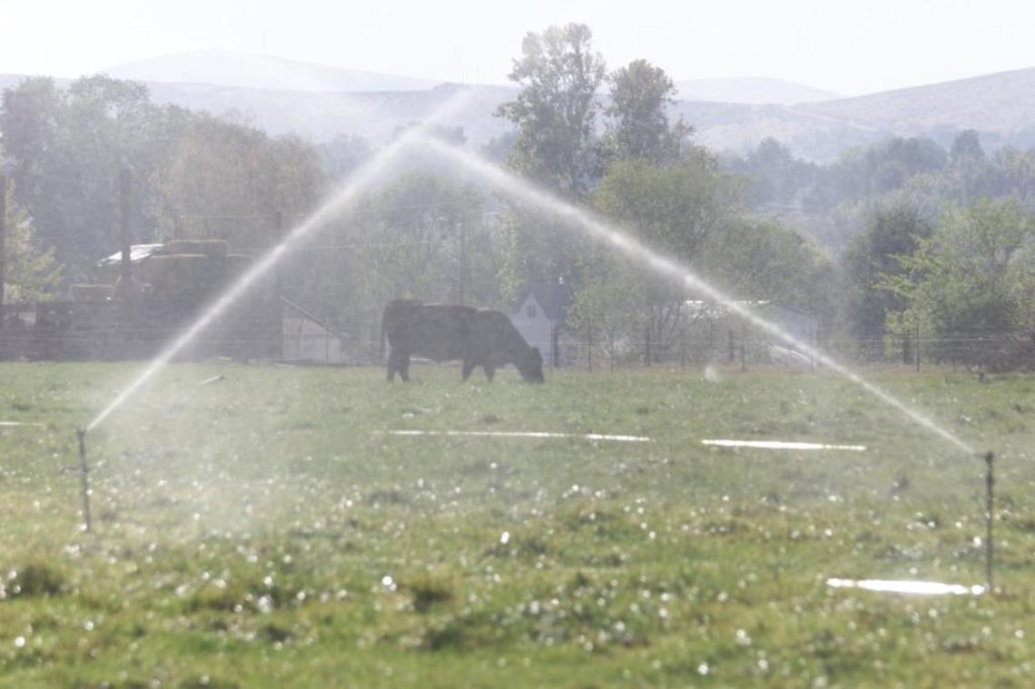 The Tri-Cities remains abnormally dry but as of this week is no longer under a Washington state drought declaration issued a year ago.
