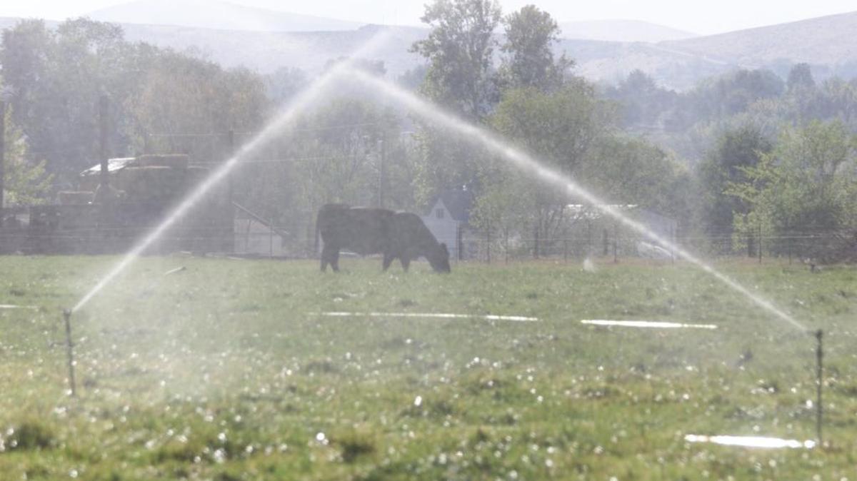 The Tri-Cities remains abnormally dry but as of this week is no longer under a Washington state drought declaration issued a year ago.