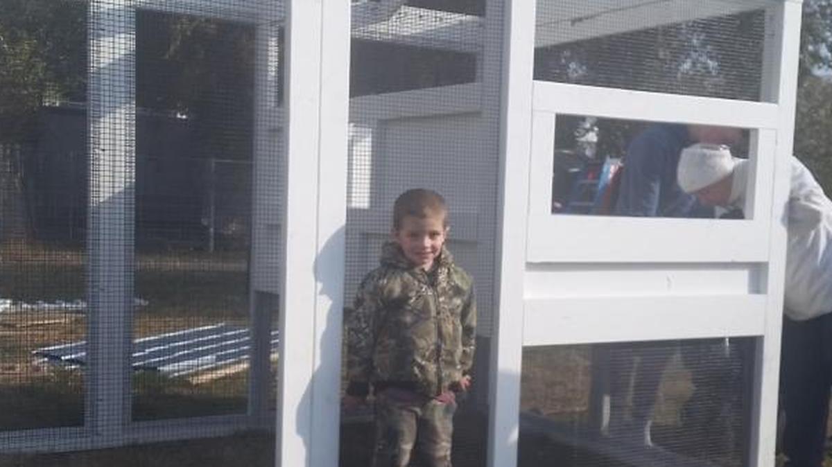 Sawyer Hall, 3, poses while volunteers assemble a chicken coop outside of his Burbank area home Saturday. Sawyer, who is fighting leikemia, asked Make-A-Wish Alaska and Washington for a chicken coop and chickens. Sawyer likes to watch videos of chickens on YouTube when he’s undergoing chemotherapy.