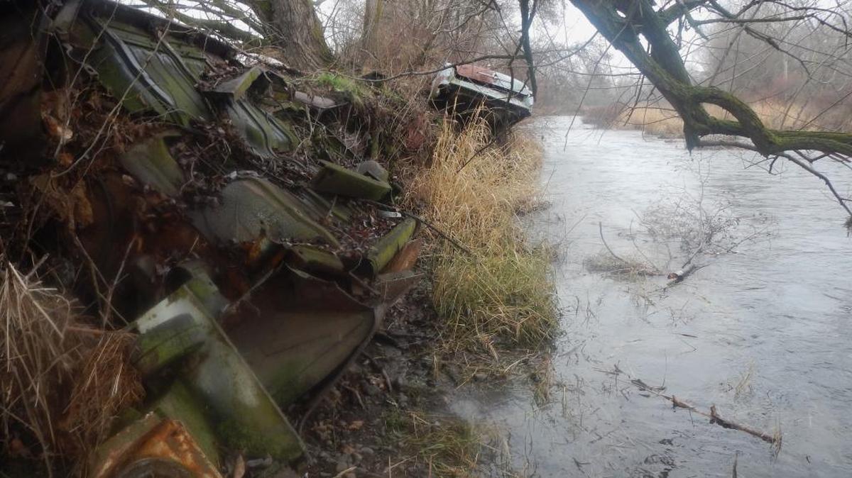 Overwintering steelhead seek refuge where submerged wood, overhanging alder or even abandoned car bodies provide cover.