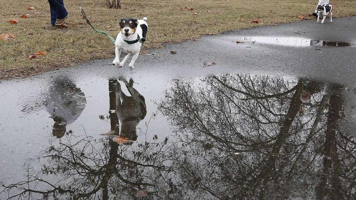 The National Weather Service predicts a chance of rain most days this week in the Tri-Cities.