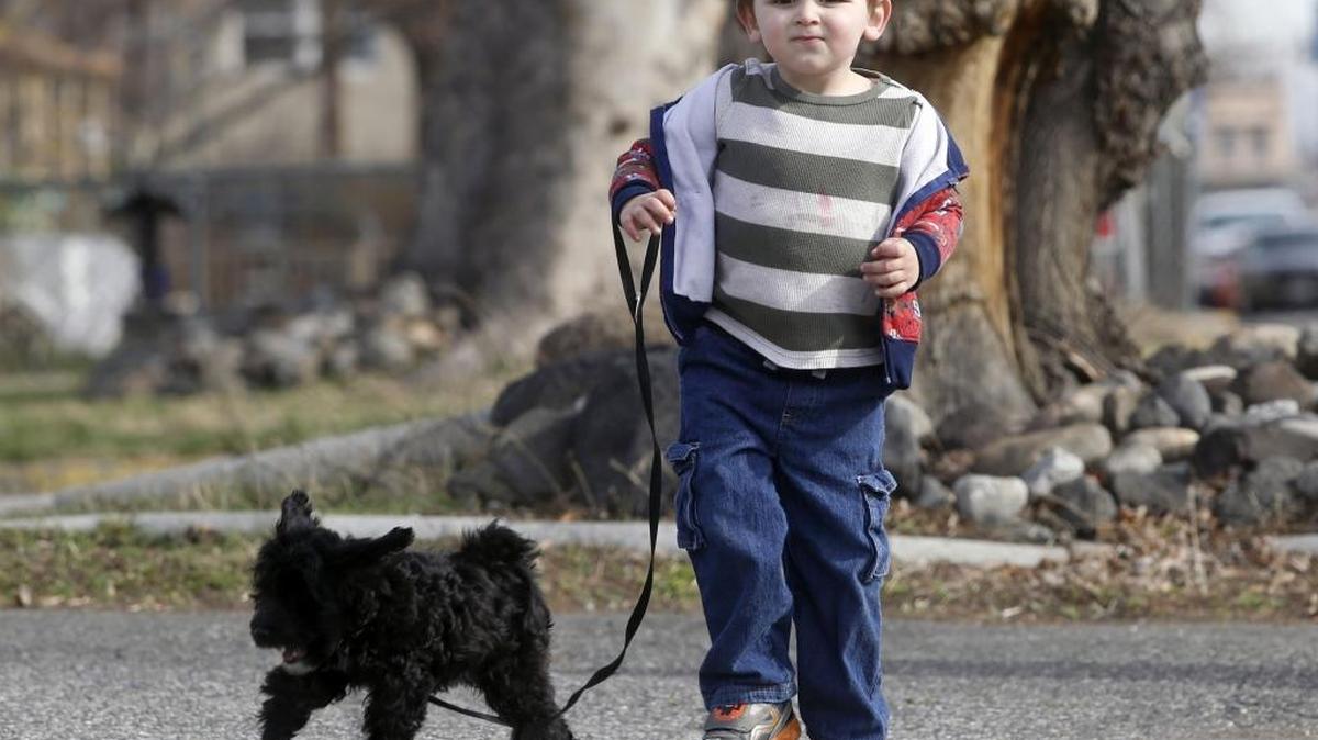 Kadeion Hoffarth, 3, of Kennewick, runs down the street Friday with his dog Ratchet, an 8-week-old poodle mix, while on a walk with his dad Mark along Kennewick Avenue in downtown Kennewick. The spring weather will continue this weekend, according to the National Weather Service with Saturday being mostly sunny with a high near 61 and Sunday being mostly cloudy with a high near 56.