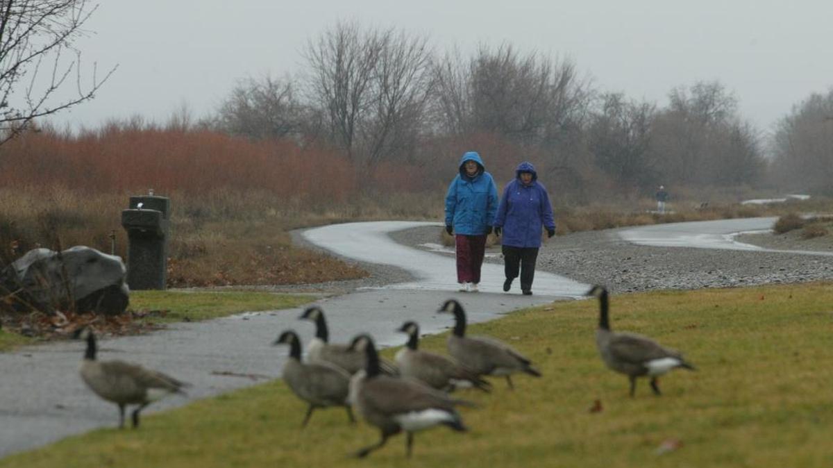 Expect cold and rainy weather late this week in the Tri-Cities as air moves in from the Gulf of Alaska.