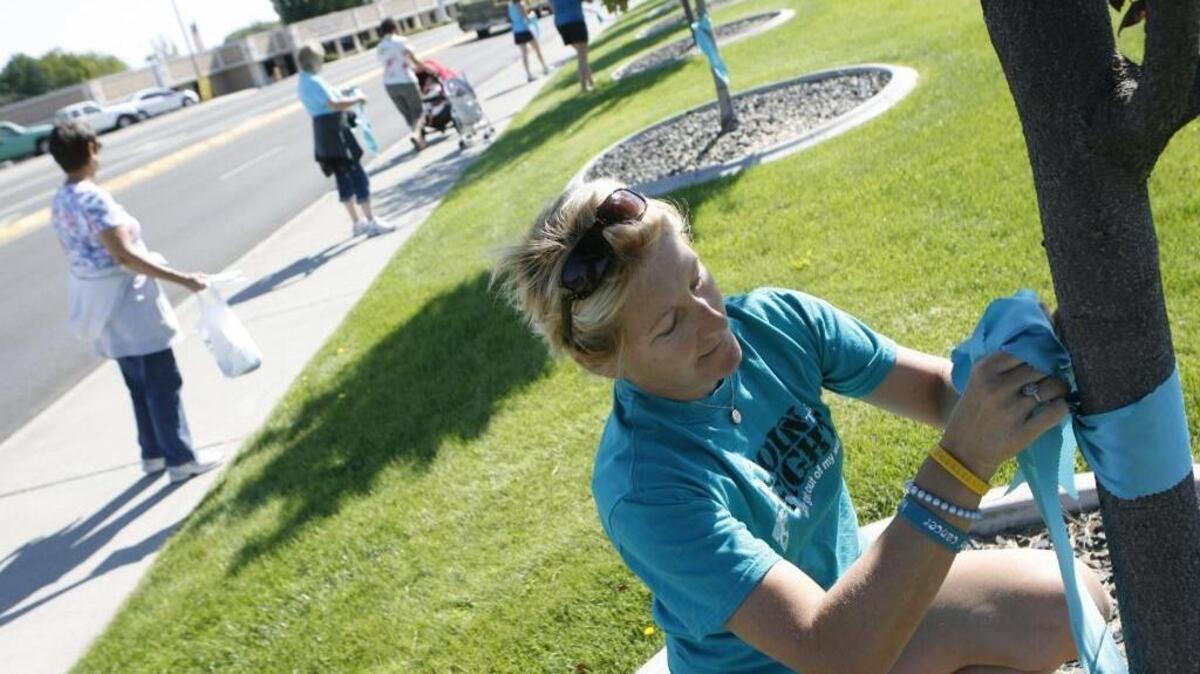 Kay Kerbyson, founder of Ovarian Cancer Together!, ties a teal ribbon to a tree in September 2012 in West Richland. About 35 people joined her in “tealing” the trees from the bridge to Flat Top Park along Van Giesen Street to raise awareness for National Ovarian Cancer Month.