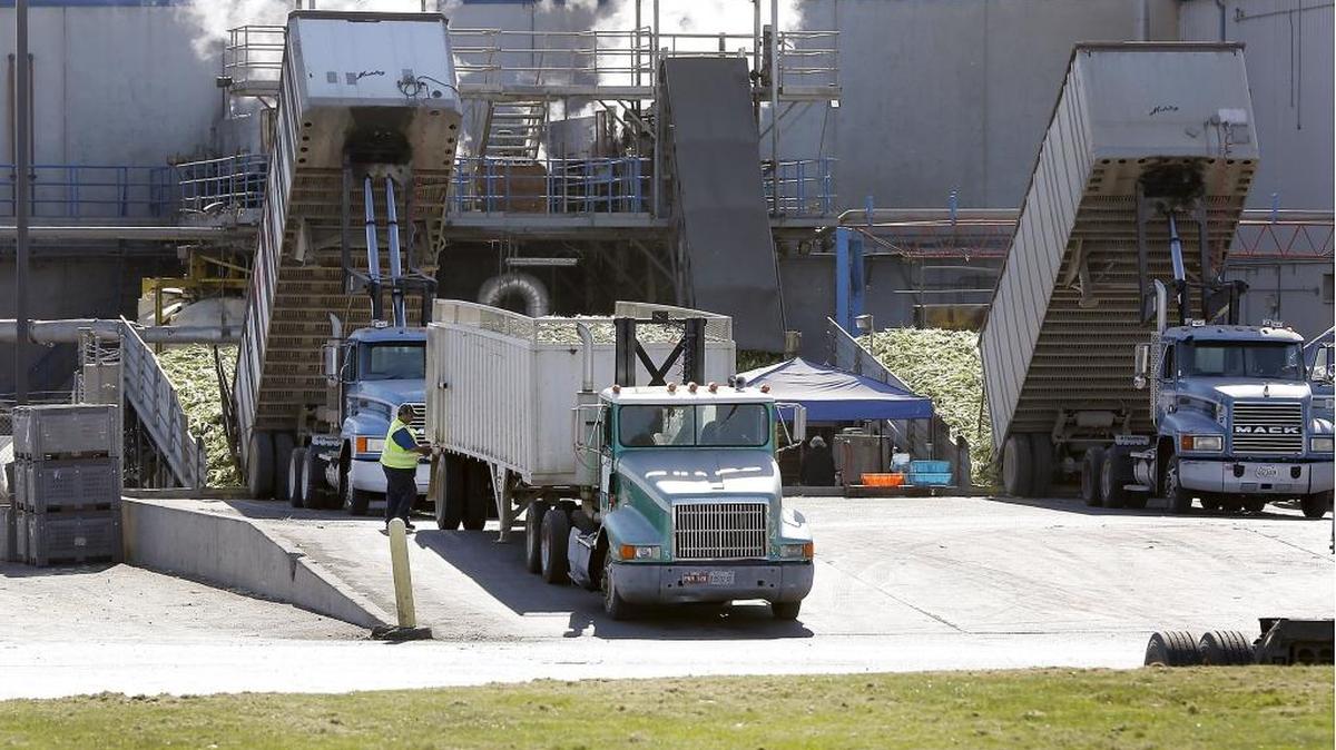 The Port of Pasco this week purchase 55 acres of land for $4.4 for a new industrial park. The land is adjacent to the Pasco Processing Center - pictured here - where companies like Americold, ConAgra, Lamb Weston have purchased property and built plants and warehouses. (File photo)
