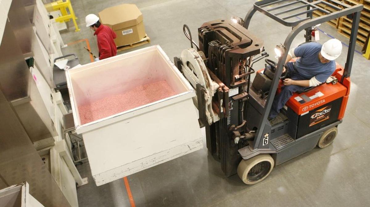 A worker loads a bin of treated pepper seed to be dried at Syngenta Seeds in Pasco. Red dust from pesticide treatment escaped the plant’s waste storage area, according to the Washington State Department of Ecology.