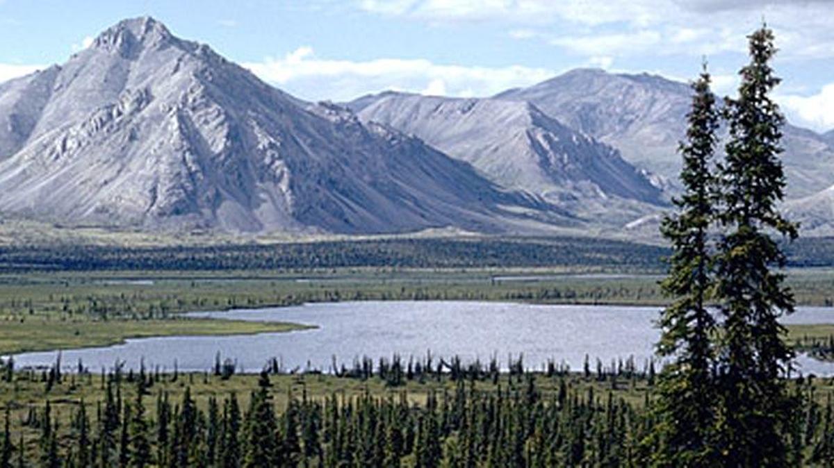 A program on the Arctic National Wildlife Refuge and its birds is planned in Kennewick.