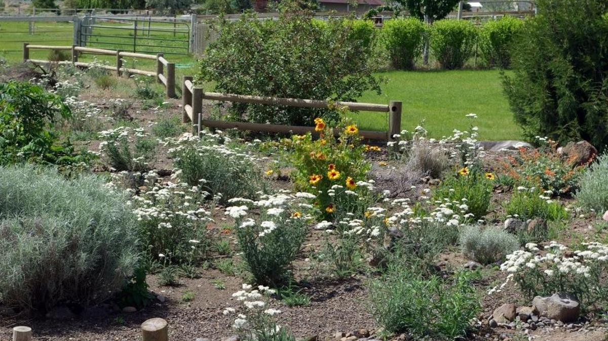 The Lucas-Jensen Heritage Garden was the first garden certified by the Heritage Garden Program, a program of the Benton and Franklin Conservation Districts and the Washington Native Plant Society’s Columbia Basin Chapter.