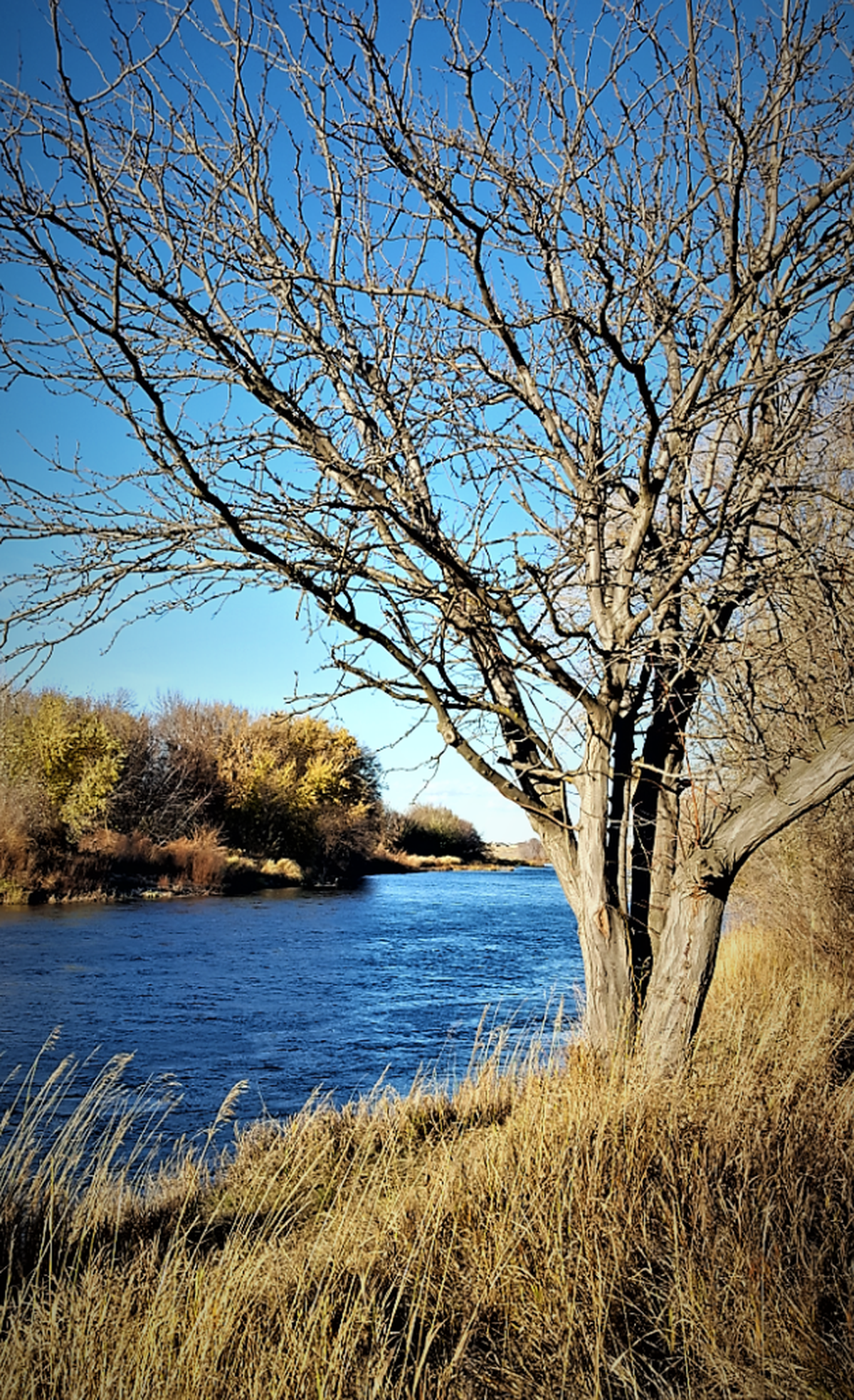 Tapteal Bend and Tapteal Greenway offer about a mile of wooded trail along the east side of the Yakima River.