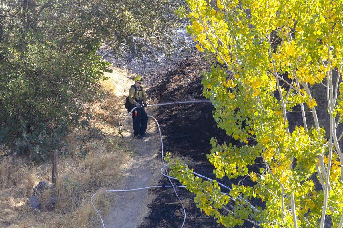Kennewick police are asking for help identifying people involved in any of the nine arson fires in the Zintel Canyon Greenway this summer.