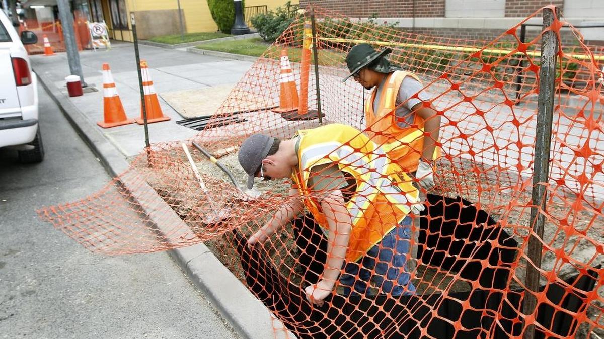City of Pasco employees Matt Larsen, left, and Daniel Aguilar work this week to fit a heavy plastic liner into a tree planter on the northwest corner North Third Avenue and West Lewis Street in Pasco. It’s part of a city project to remove and replace trees in the downtown area with a shallow root structure to last longer in the urban setting.