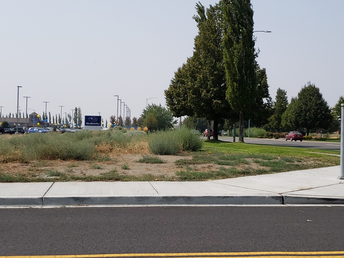Speck Buick GMC has plans foro a $4 million dealership on Sandifur Parkway sandwiched between Camping World and McCurley Integrity Subaru. Speck Family Dealerships bought the 4.6 acres from Pasco in January.