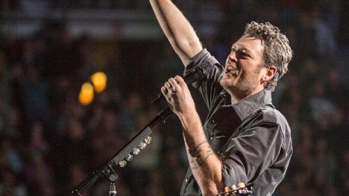 On July 25, the Skyline Drive-in in Shelton will join drive-ins across the country in streaming a live concert by country star Blake Shelton and his girlfriend Gwen Stefani. (Trace Adkins is on the bill, too.)