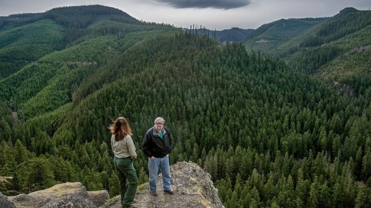 Sept. 30 is National Public Lands Day, with most day fees waived on Washington State Parks and Forest Service land. The Mount Baker Snoqualmie National Forest near Greenwater, Wash., is shown.