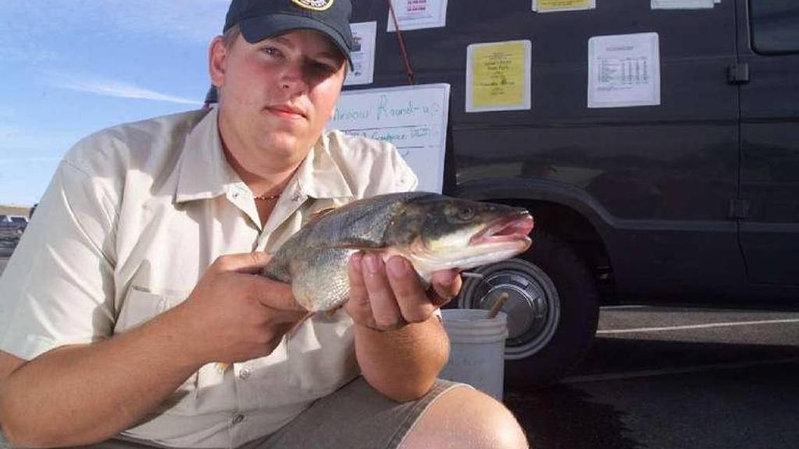 Angler paid almost $70,000 for fishing the Columbia and Snake rivers this year